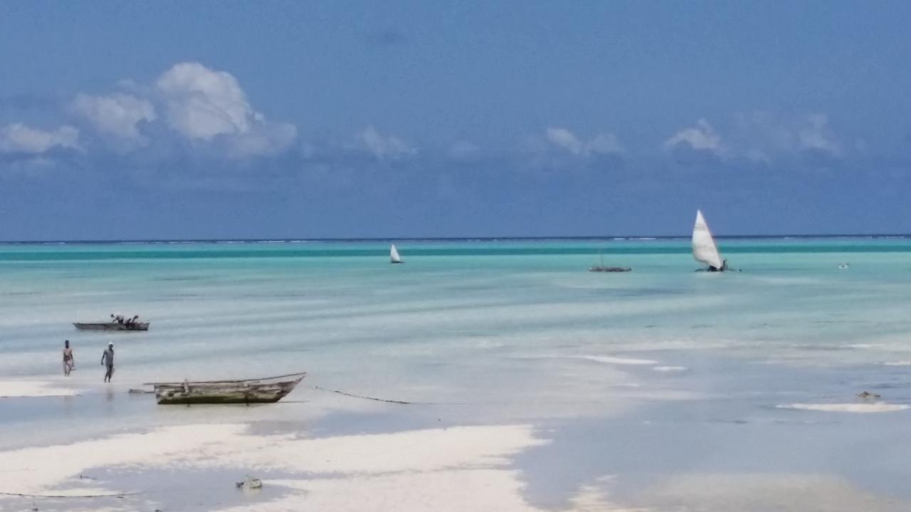 Alhapa Beach